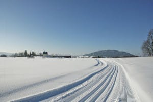 Skiløyper Hadeland langrenn skispor Oppland