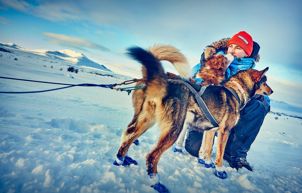 Valdres_Hundekjøring_Marit_Beate_Kasin_Foto_Cathrine_Dokken