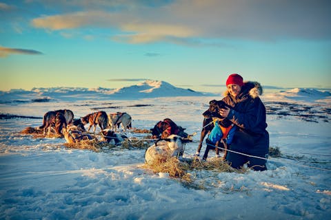 Valdres hundekjøring. Foto: Cathrine Dokken.